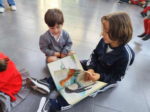 Foto Colegio Fuenteblanca #2