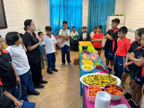 Foto Colegio Guillermo Taborda Restrepo  #1