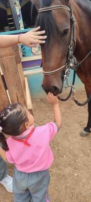 Foto Jardín Infantil  Rizos De Oro #3