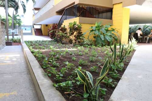 Foto Colegio Nuevo Colegio Del Prado #2