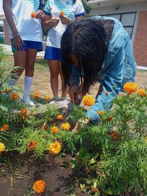 Foto Colegio Calasancio Nuevo Veracruz #3