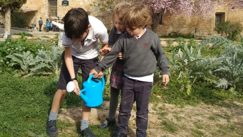 Foto Colegio Compañía De María #2