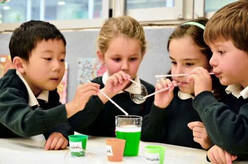 Photo Colegio Miravalles-El Redín #2