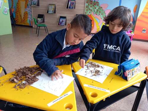 Foto Colegio George Williams #0