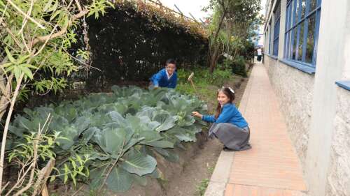 Foto Colegio  Dulce Maria #2