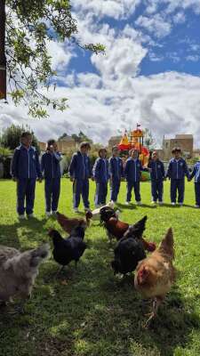 Photo Colegio El Bosque Bilingual School  #2