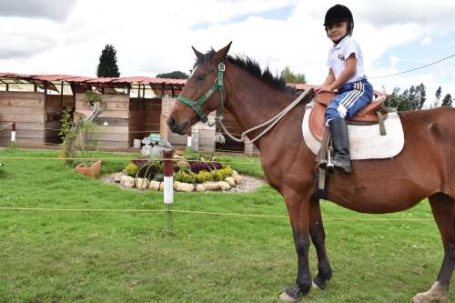 Photo Colegio El Bosque Bilingual School  #2