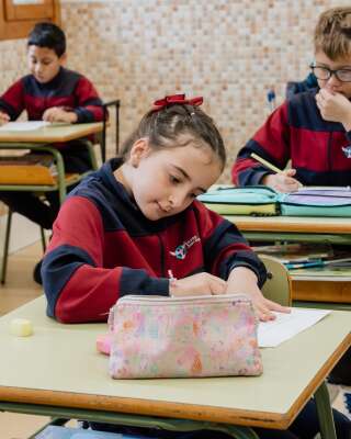 Foto Colegio Juan Pablo II Santo Tomás #3