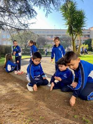 Foto Colegio Patronato San José #3