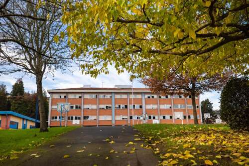 Foto Colegio Fozaneldi #3