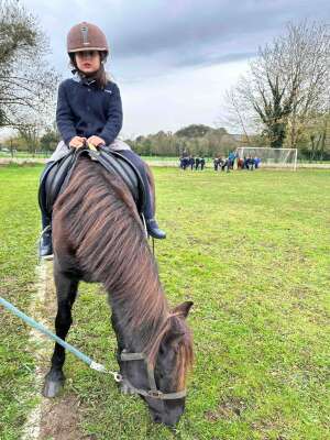 Photo Colegio Palacio De Granda #3