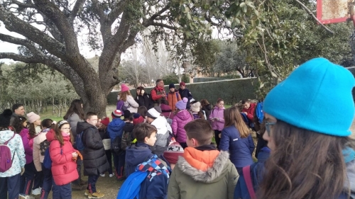 Foto Colegio SANTA CLARA DE ASÍS #2