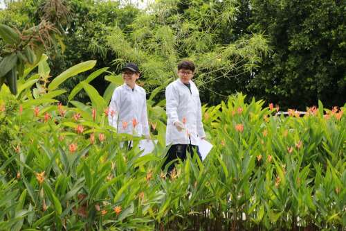 Foto Ciudad Educadora Espíritu Santo #2