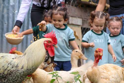 Foto Ciudad Educadora Espíritu Santo #2