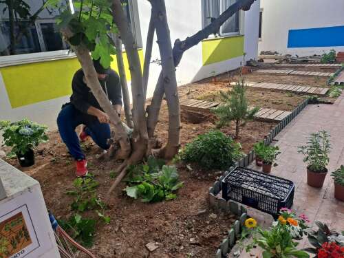 Foto Escola CEIPS Sagrado Corazón- Fundación educativa Sofía Barat #3