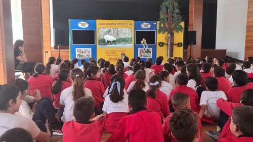 Foto Colegio Profesor Rafael Gómez Santos #2