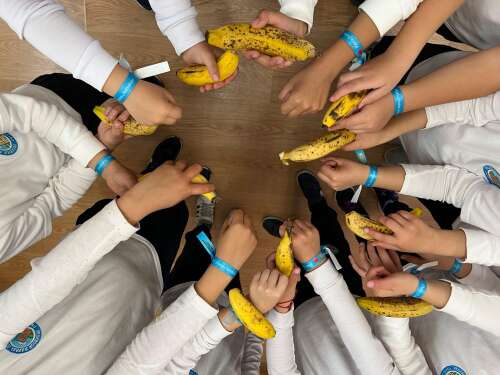 Foto Colegio Profesor Rafael Gómez Santos #2