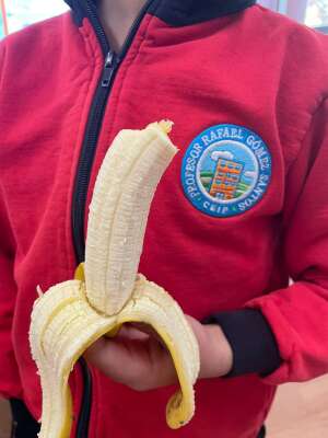 Foto Colegio Profesor Rafael Gómez Santos #2