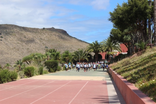 Foto Colegio Deutsche Schule Las Palmas de G.C. - Colegio Alemán #3