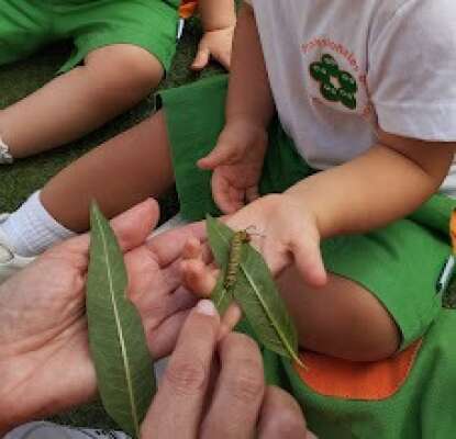 Foto Escuela Infantil C.P.E.I.  First Steps #3