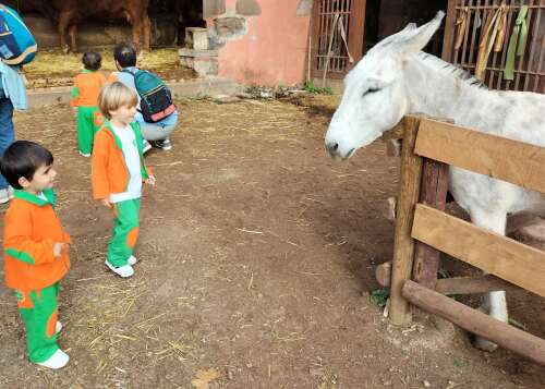 Foto Escuela Infantil C.P.E.I.  First Steps #3