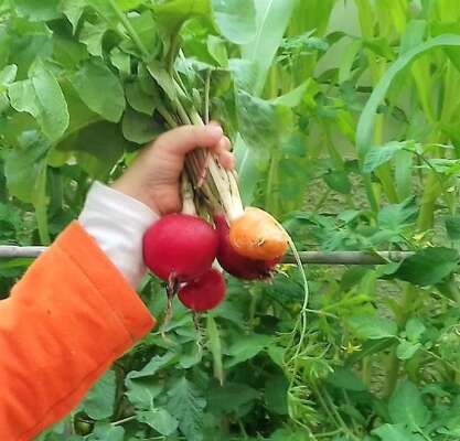 Foto Escuela Infantil C.P.E.I.  First Steps #3