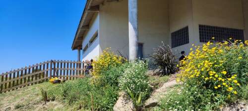 Foto Colegio CEIP Plurilingüe Marquesa Do Pazo Da Mercé #3