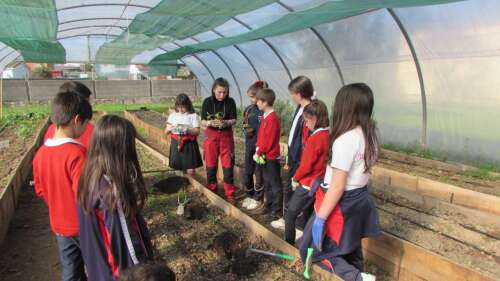 Foto Colegio Divino Salvador #3