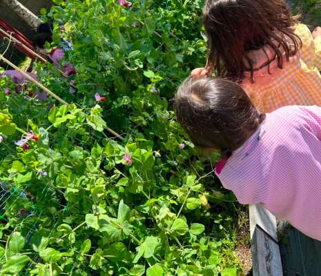 Foto Colegio Eduardo Pondal #3