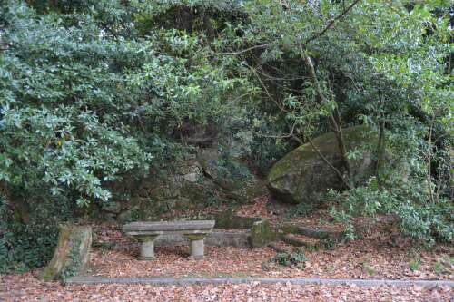 Foto Colegio CPR Plurilingüe Sagrada Familia -  Filipenses #3