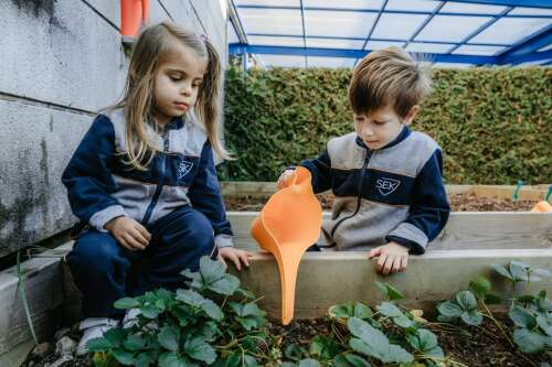 Foto Colegio SEK International School Atlántico #2