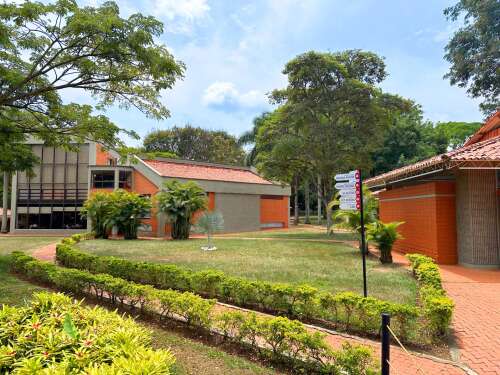 Foto Colegio New Cambridge School  #2