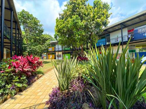 Foto Colegio New Cambridge School  #2