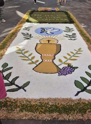 Foto Colegio Santa Rosa De Lima #2