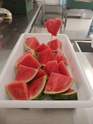 Foto Colegio Santa Rosa De Lima #2