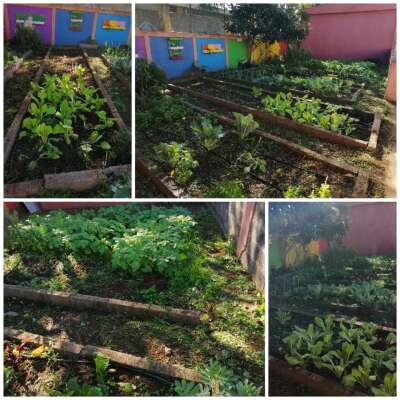 Foto Colegio Santa Rosa De Lima #1