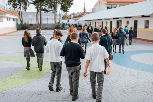 Foto Colegio Buen Consejo La Laguna #2