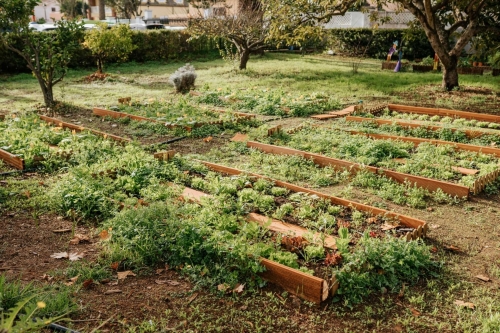 Foto Colegio Buen Consejo La Laguna #2