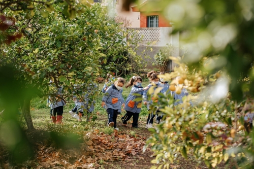 Foto Colegio Buen Consejo La Laguna #2