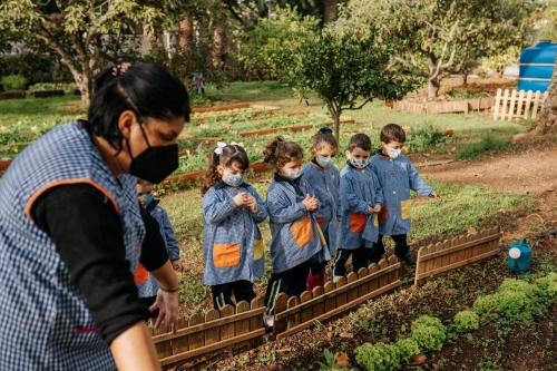 Foto Colegio Buen Consejo La Laguna #2