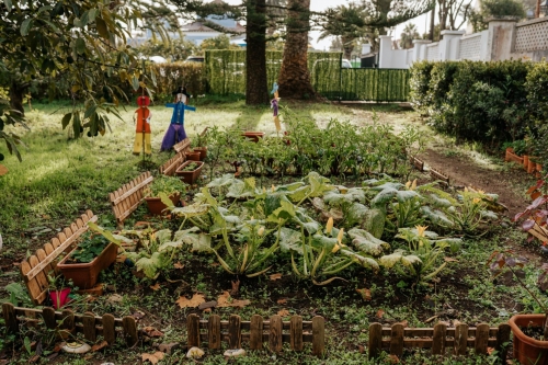 Foto Colegio Buen Consejo La Laguna #2