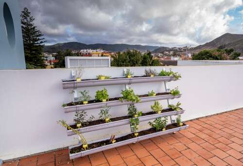 Foto Colegio Máyex #2