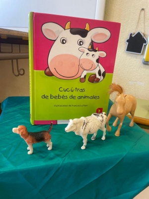 Foto Colegio Aguere #3