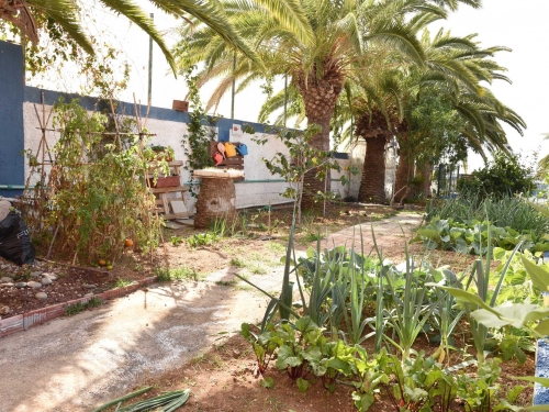 Foto Colegio Echeyde Arona #2