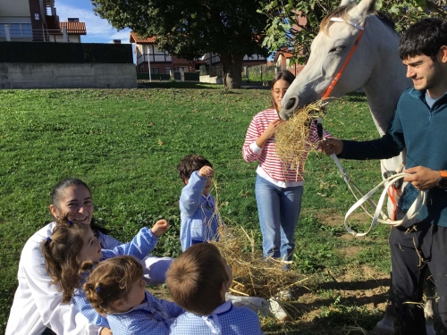 Foto Colegio Menéndez Pelayo #2