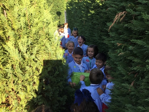 Foto Colegio Menéndez Pelayo #2