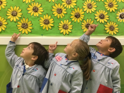 Foto Colegio Menéndez Pelayo #2