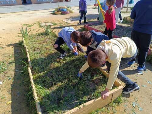 Foto Colegio Nebrixa #3