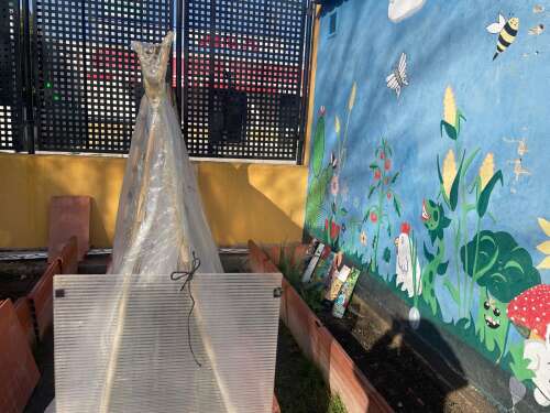 Foto Colegio Prácticas #3