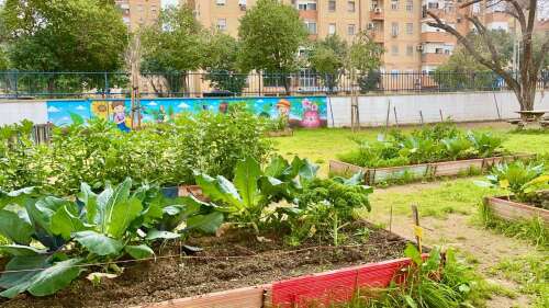 Foto Colegio Adriano #1